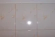 Zdjęcie z galerii